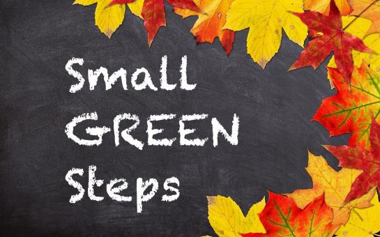 Picture of Small Green Steps - Level One